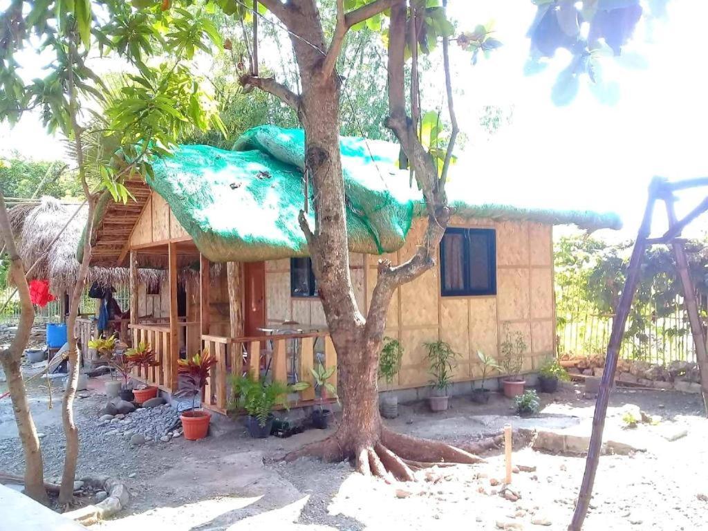 Traditional Filipino Transient House And Huts Near 100 Islands Wharfアラミノス エクステリア 写真