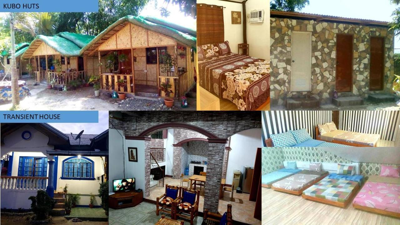 Traditional Filipino Transient House And Huts Near 100 Islands Wharfアラミノス エクステリア 写真